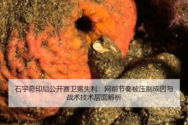 石宇奇印尼公开赛卫冕失利：网前节奏被压制成因与战术技术层面解析