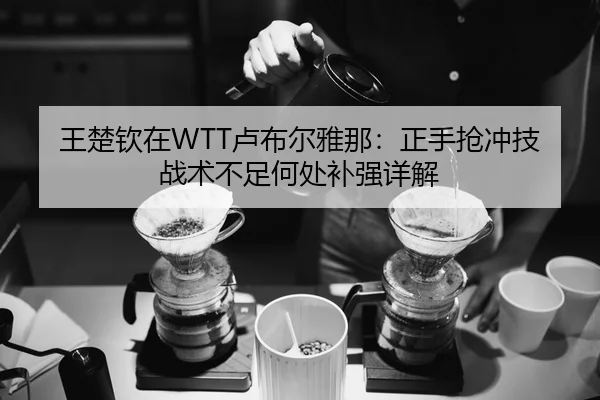 王楚钦在WTT卢布尔雅那：正手抢冲技战术不足何处补强详解