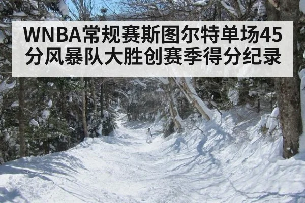 WNBA常规赛斯图尔特单场45分风暴队大胜创赛季得分纪录